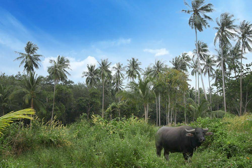 Samui Le Reve Hotel Na Mueang Ngoại thất bức ảnh